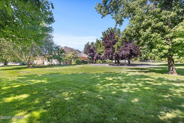 621 Friedline Rd, Yakima, WA 98908 - view of grassy yard