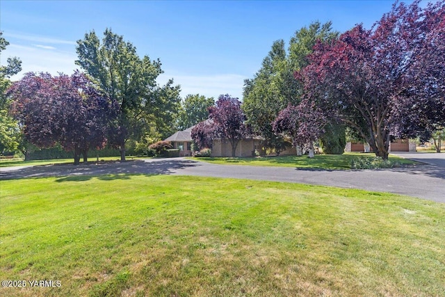 621 Friedline Rd, Yakima, WA 98908 - view of green lawn
