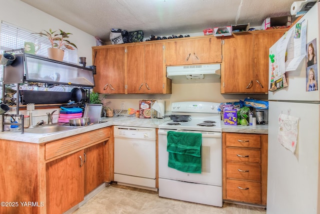 kitchen with white appliances, brown cabinetry, light countertops, under cabinet range hood, and a sink