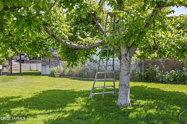 808 S 72nd Ave, Yakima, WA 98908 - view of yard