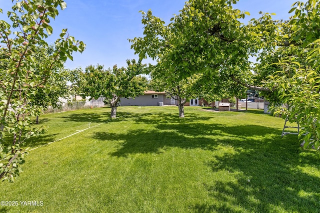 808 S 72nd Ave, Yakima, WA 98908 - view of yard
