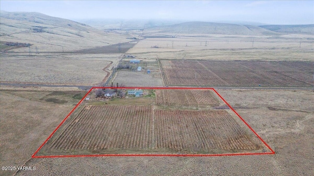 birds eye view of property featuring a rural view and a mountain view