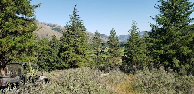 NNA Nile Rd, Naches, WA 98937