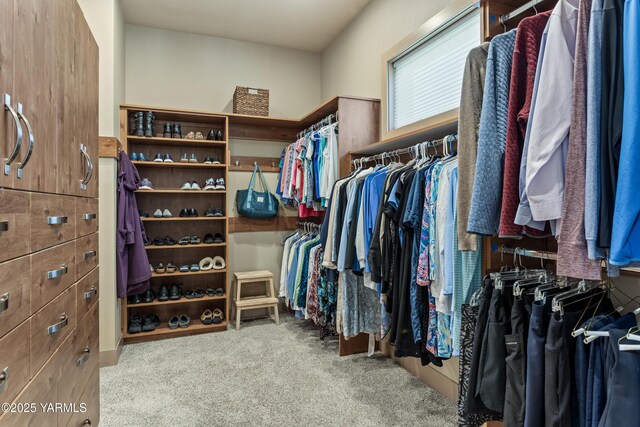 5506 Marilane St, Yakima, WA 98908 - walk in closet with carpet floors