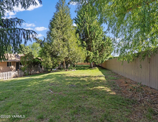 7610 Summitview Ave Unit 6, Yakima, WA 98908 - view of yard
