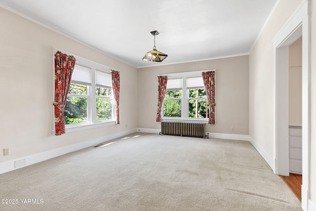 14 N 37th Ave, Yakima, WA 98902 - carpeted empty room featuring radiator heating unit and ornamental molding