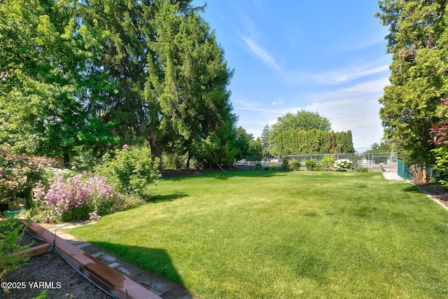 14 N 37th Ave, Yakima, WA 98902 - view of yard