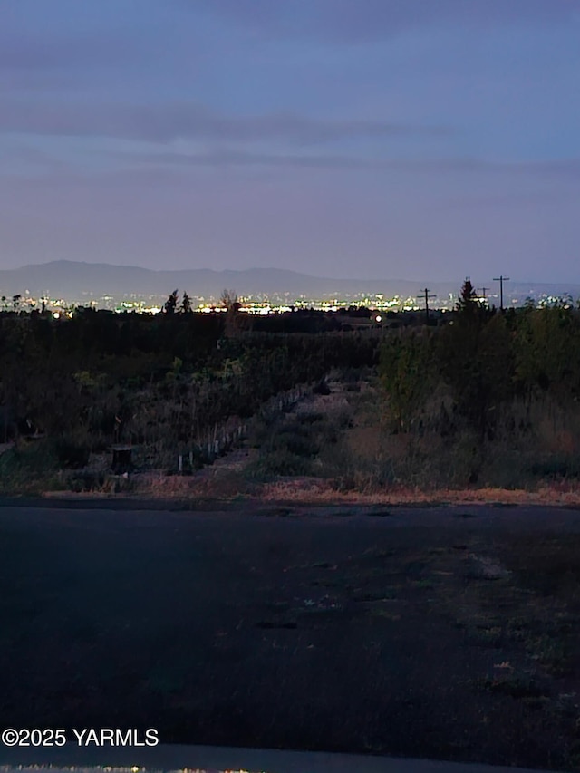 12312 Nelson Rd, Yakima, WA 98903 - photo 33