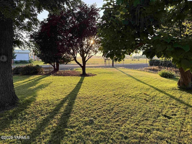 10901 N Pioneer Rd, Prosser, WA 99350 - photo 7