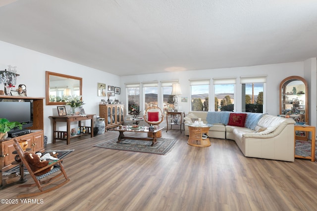 living room with a textured ceiling and wood finished floors