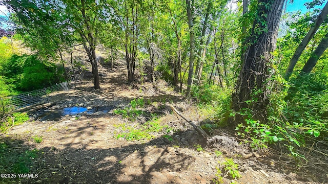 1391 Lancaster Rd, Selah, WA 98942 - view of yard