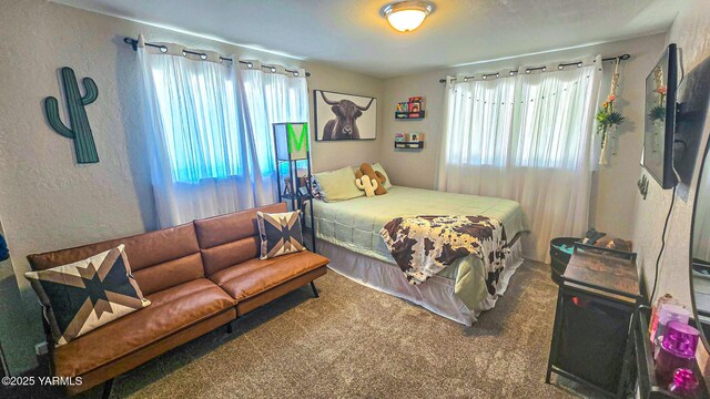 1391 Lancaster Rd, Selah, WA 98942 - bedroom featuring multiple windows, carpet floors, and a textured wall
