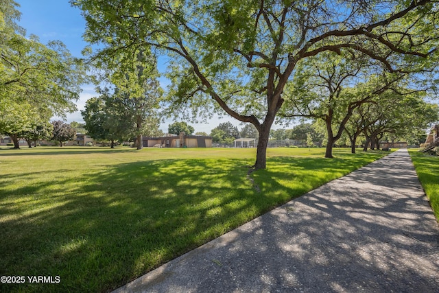 2913 W John Day Ave Unit D-103, Kennewick, WA 99336 - photo 36