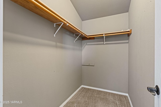 spacious closet with carpet flooring