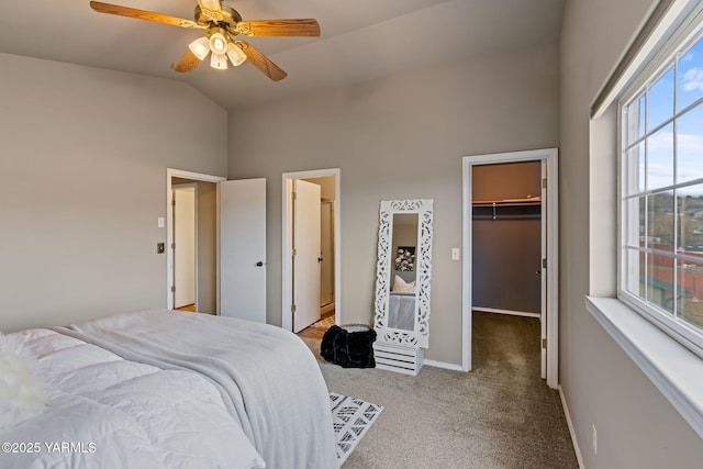 carpeted bedroom with a walk in closet, a closet, baseboards, ceiling fan, and vaulted ceiling