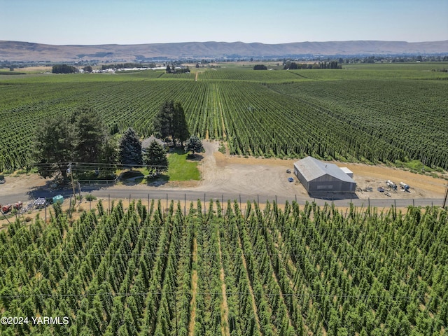 birds eye view of property featuring a rural view and a mountain view