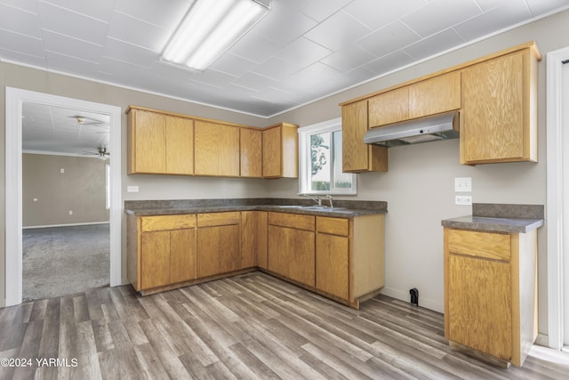 kitchen with under cabinet range hood, a sink, baseboards, light wood-type flooring, and dark countertops