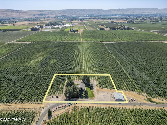 birds eye view of property with a rural view and a mountain view