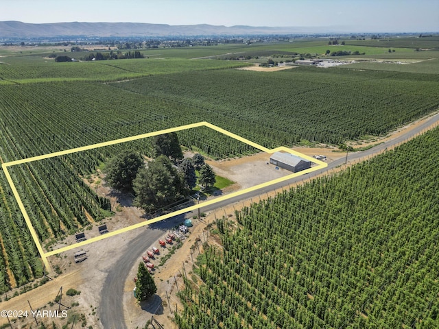 drone / aerial view featuring a mountain view and a rural view