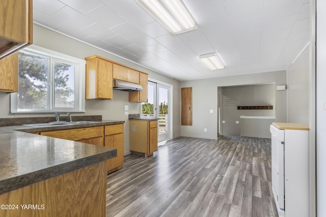 kitchen featuring under cabinet range hood, a sink, dark wood-style floors, brown cabinetry, and dark countertops