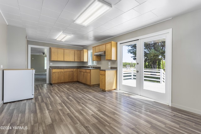 kitchen with dark countertops, under cabinet range hood, dark wood finished floors, and french doors