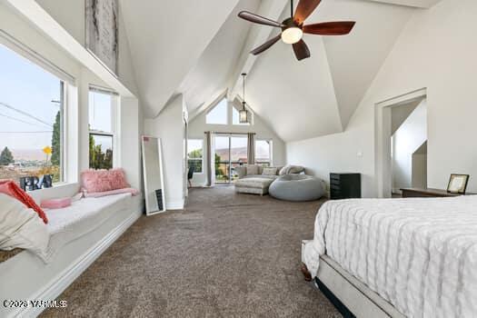 921 Tibbling Rd, Selah, WA 98942 - view of carpeted bedroom