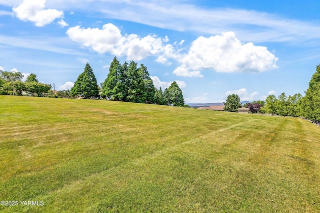 131 Katie Ln, Selah, WA 98942 - view of grassy yard