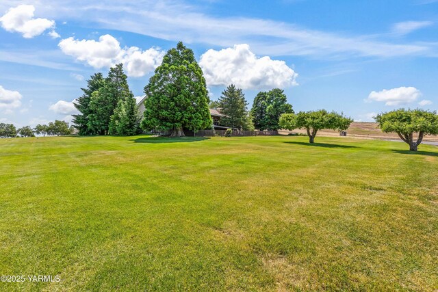 131 Katie Ln, Selah, WA 98942 - view of green lawn