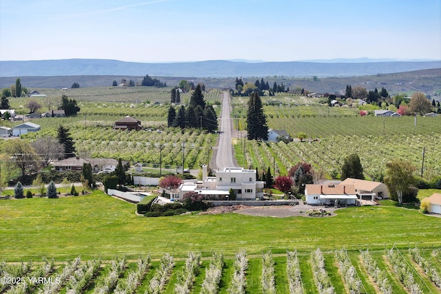 birds eye view of property with a mountain view and a rural view