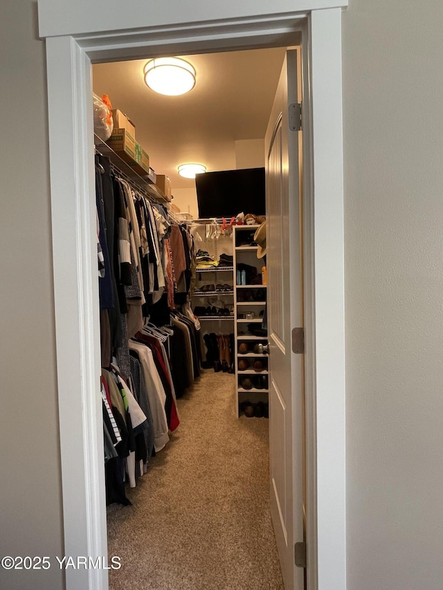 522 Adobe Way, Selah, WA 98942 - walk in closet with carpet flooring