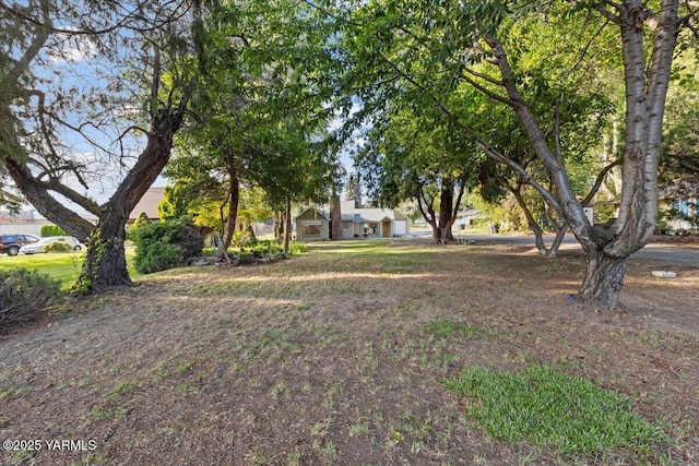 3803 Tieton Dr, Yakima, WA 98902 - view of yard