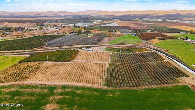 961 Lucy Ln, Zillah, WA 98953 - birds eye view of property with a mountain view and a rural view