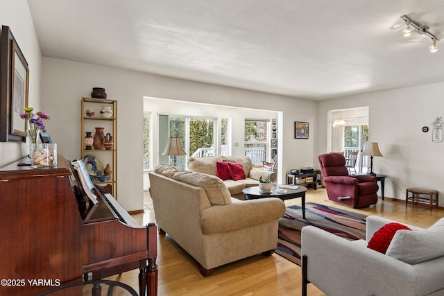 living room featuring a chandelier and light wood-type flooring