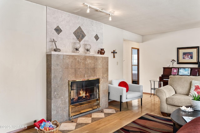 living room with a fireplace and wood finished floors