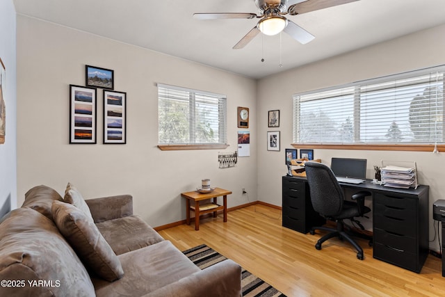 office featuring ceiling fan, light wood-style flooring, and baseboards