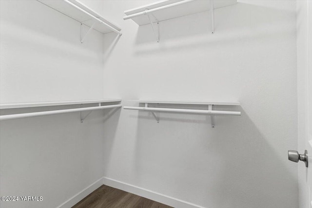 walk in closet featuring dark wood finished floors