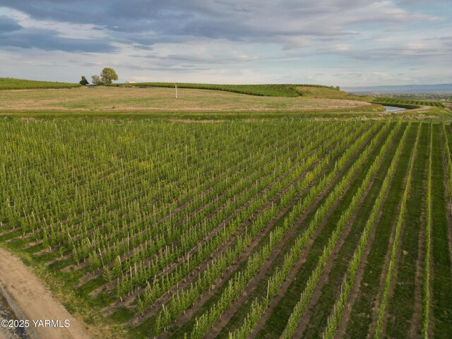 370 Macy Rd, Zillah, WA 98953 - view of yard with a rural view