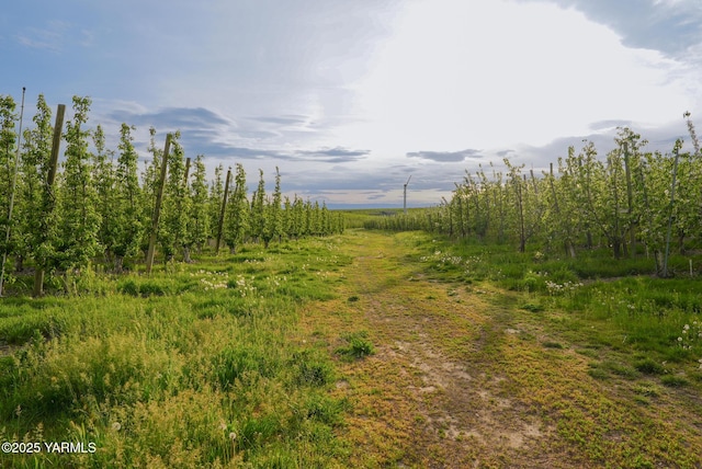 370 Macy Rd, Zillah, WA 98953 - view of landscape featuring a rural view