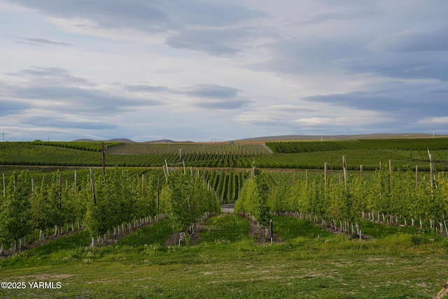 370 Macy Rd, Zillah, WA 98953 - property view of mountains featuring a rural view