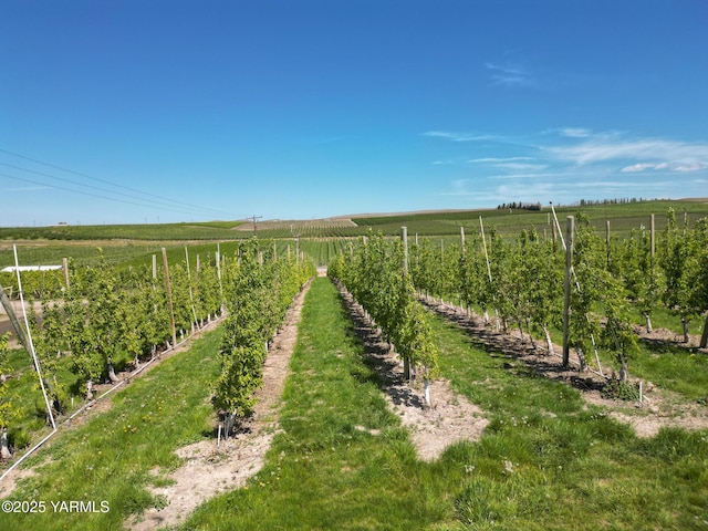 370 Macy Rd, Zillah, WA 98953 - bird's eye view with a rural view