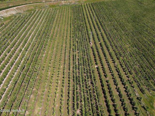 370 Macy Rd, Zillah, WA 98953 - bird's eye view