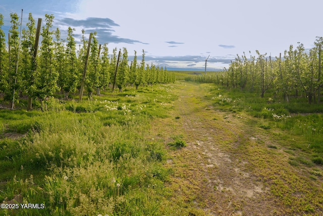 370 Macy Rd, Zillah, WA 98953 - view of landscape featuring a rural view