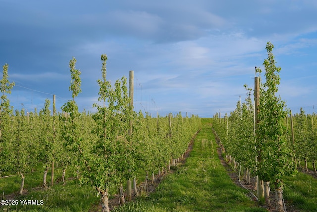 370 Macy Rd, Zillah, WA 98953 - view of nature