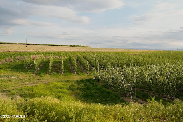 370 Macy Rd, Zillah, WA 98953 - view of nature featuring a rural view