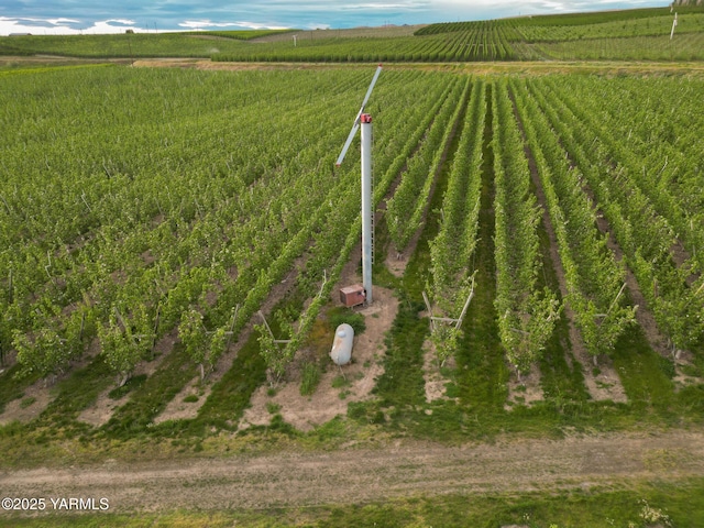 370 Macy Rd, Zillah, WA 98953 - bird's eye view featuring a rural view