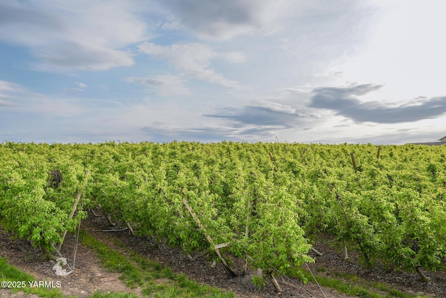 370 Macy Rd, Zillah, WA 98953 - view of nature