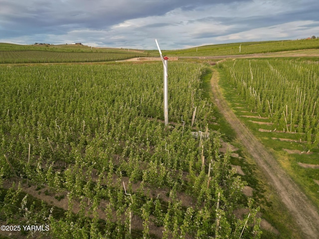 370 Macy Rd, Zillah, WA 98953 - drone / aerial view featuring a rural view