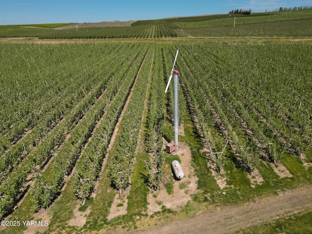 370 Macy Rd, Zillah, WA 98953 - birds eye view of property with a rural view