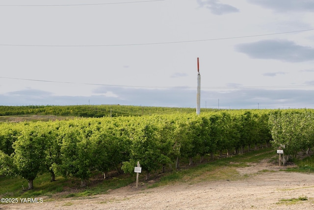370 Macy Rd, Zillah, WA 98953 - view of yard featuring a rural view