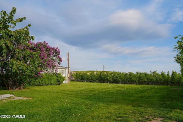 370 Macy Rd, Zillah, WA 98953 - view of nature